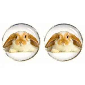 Bassin and Brown Rabbit Cufflinks - Beige/White