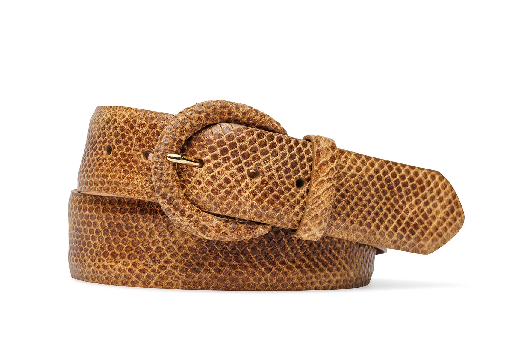 Embossed Authentic Anaconda Belt with Covered Buckle