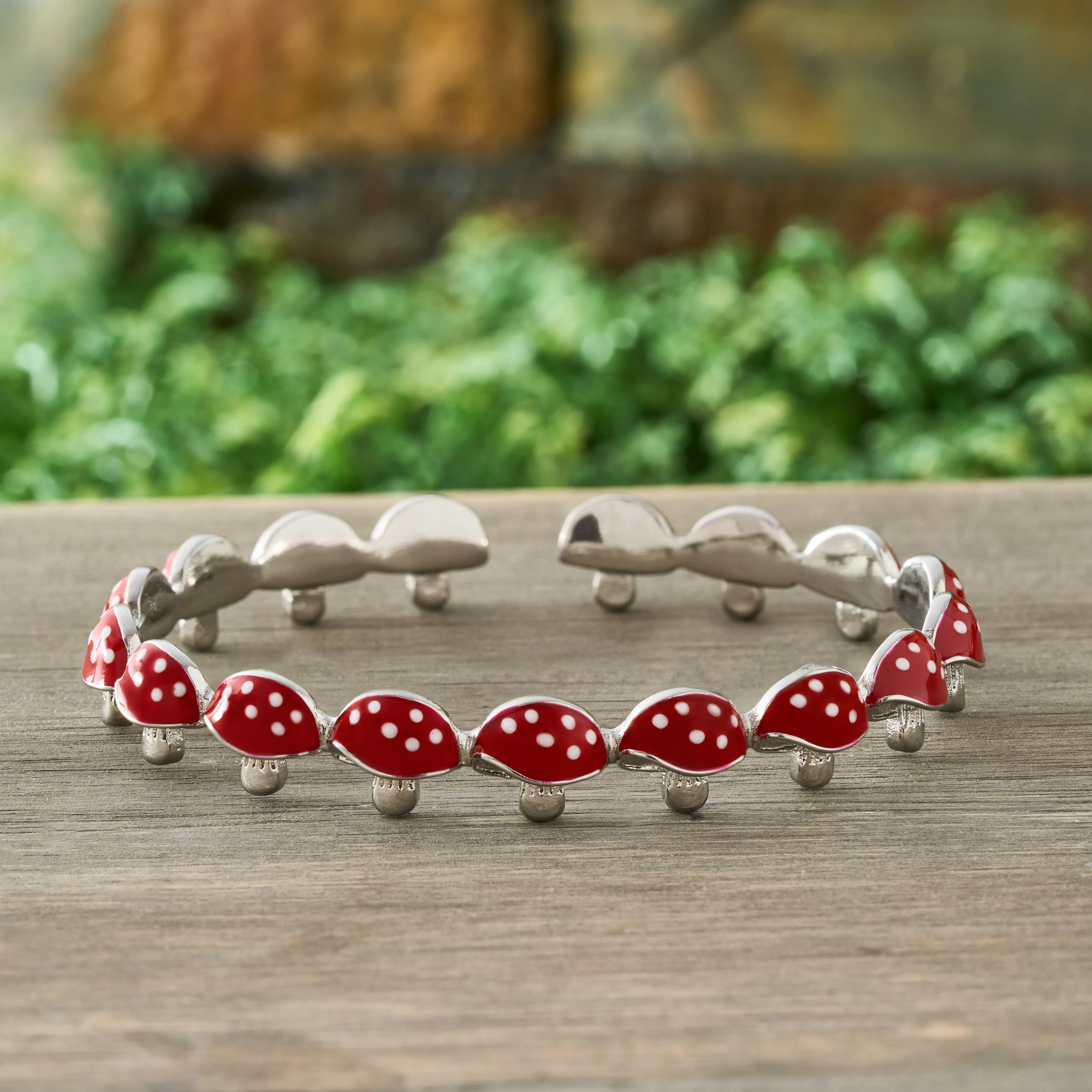 Red and White Mushroom Gift Set